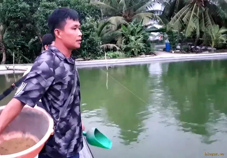 Ngô Đức Tuyền và ao nuôi cá lăng nha đuôi đỏ bố mẹ.