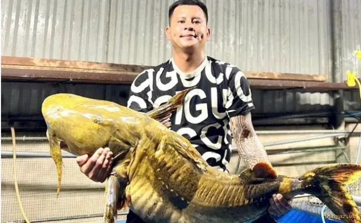 Cá chiên 50kg trúng lưới ngư dân ở Điện Biên