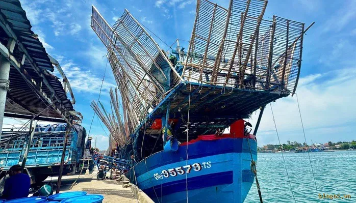 Tàu câu mực ngư dân xã Bình Sơn, tỉnh Quảng Ngãi