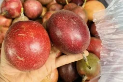 Không phải sầu riêng, đây mới là loại quả từ Việt Nam mà châu Âu cực mê