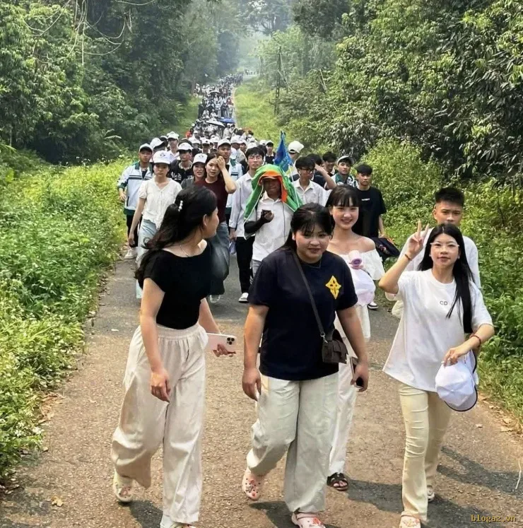 Cuối tuần lượng khách đổ về Cúc Phương trải nghiệm "săn bướm", check-in cây ráy "khổng lồ" với số lượng lớn. Ảnh: C.P