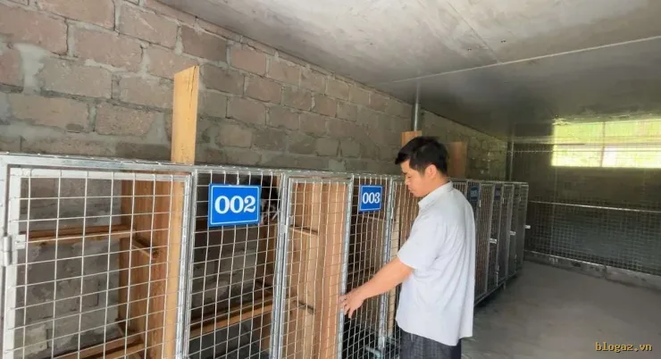 Anh Sang kiểm tra những chú cầy vòi mốc, cầy hương của gia đình. Ảnh: Hoàng Tính
