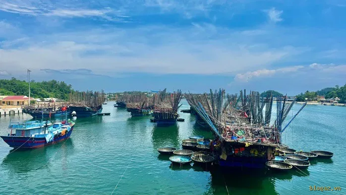 Tàu câu mực ngư dân xã Bình Sơn, tỉnh Quảng Ngãi